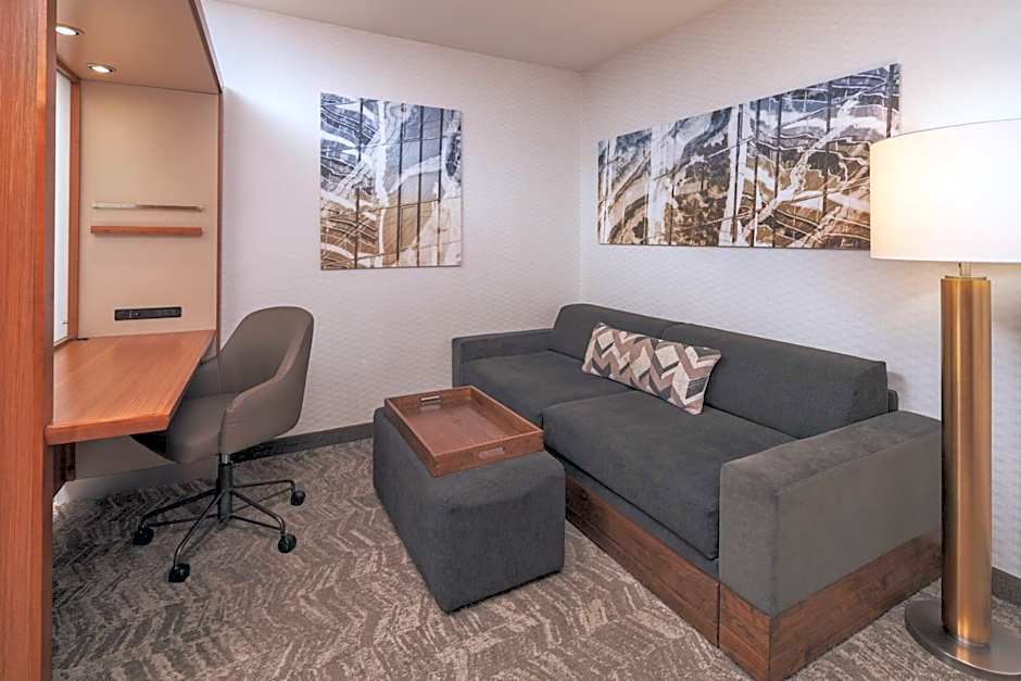 SpringHill Suites by Marriott Philadelphia Airport/Ridley Park