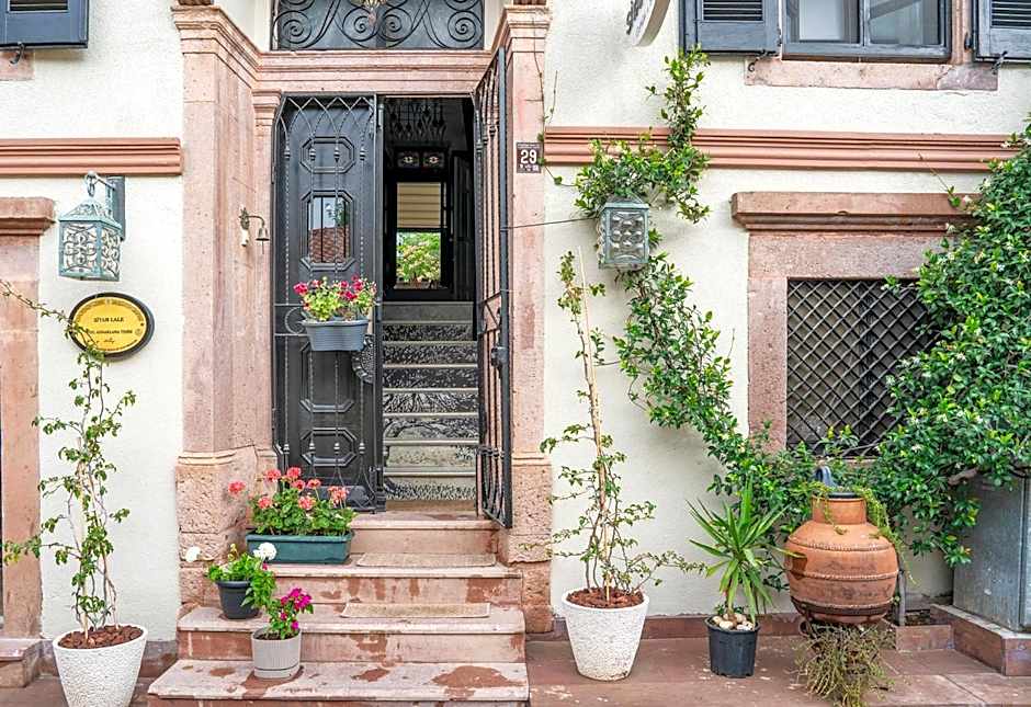 Siyah Lale Cunda 1841