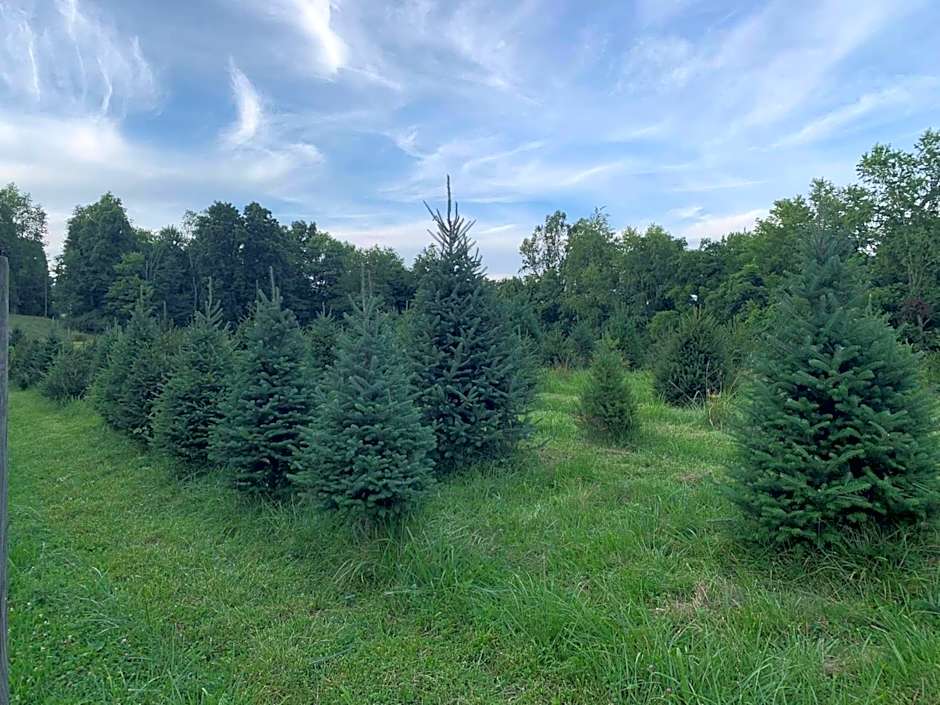 Holiday Inn Express & Suites New Martinsville By IHG