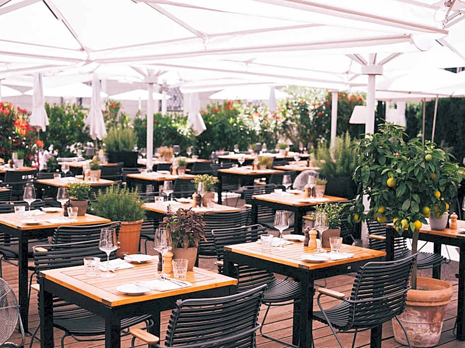 Arthotel Blaue Gans