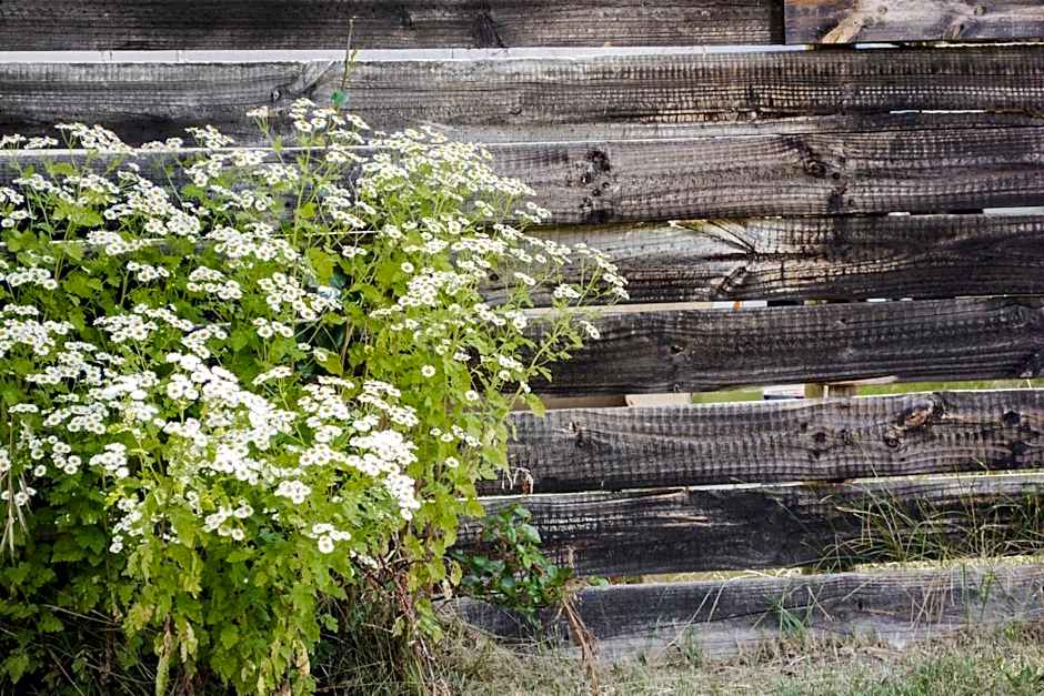 Crackenback Farm Guesthouse