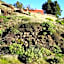 La Casita