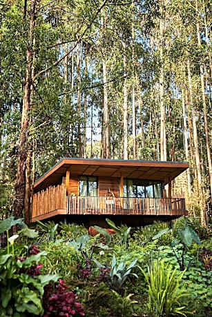 One&Only Gorilla's Nest