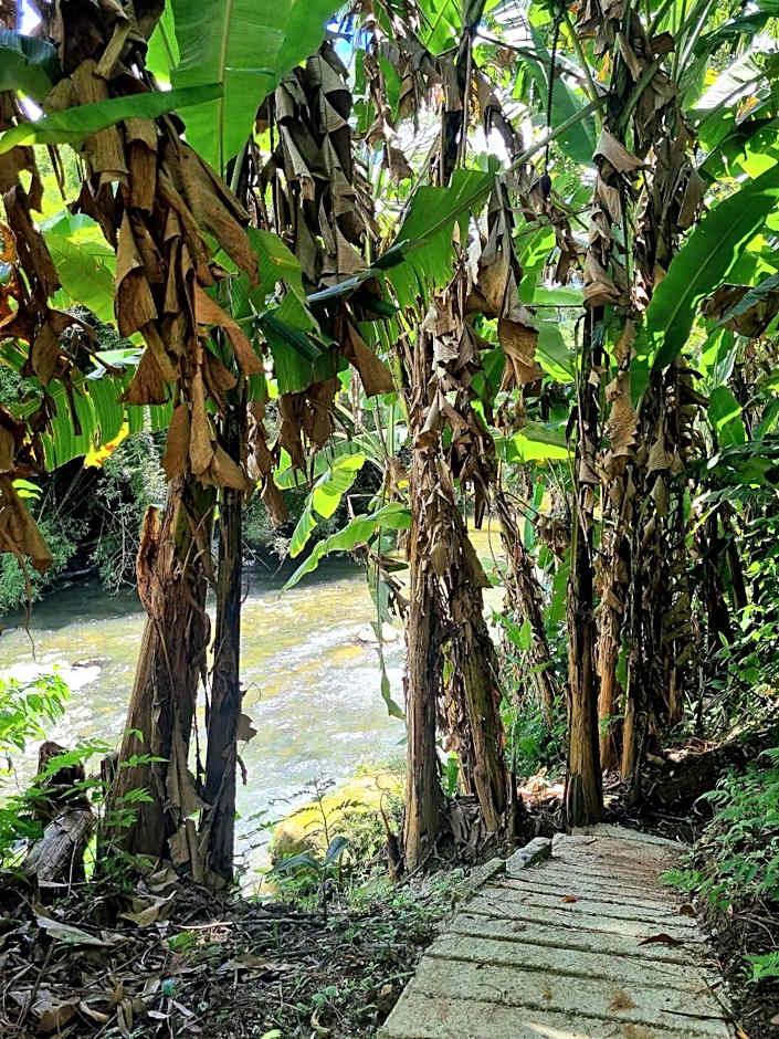 Nina-Flor Pousada Lumiar