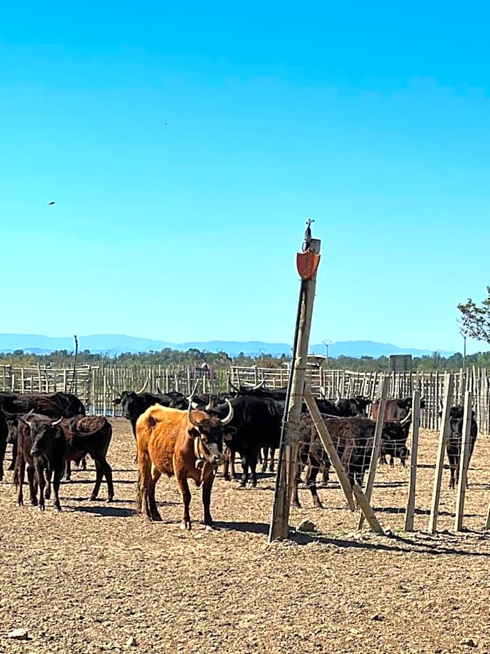 Hôtel Le Médiéval - Parking inclus & accueil vélo