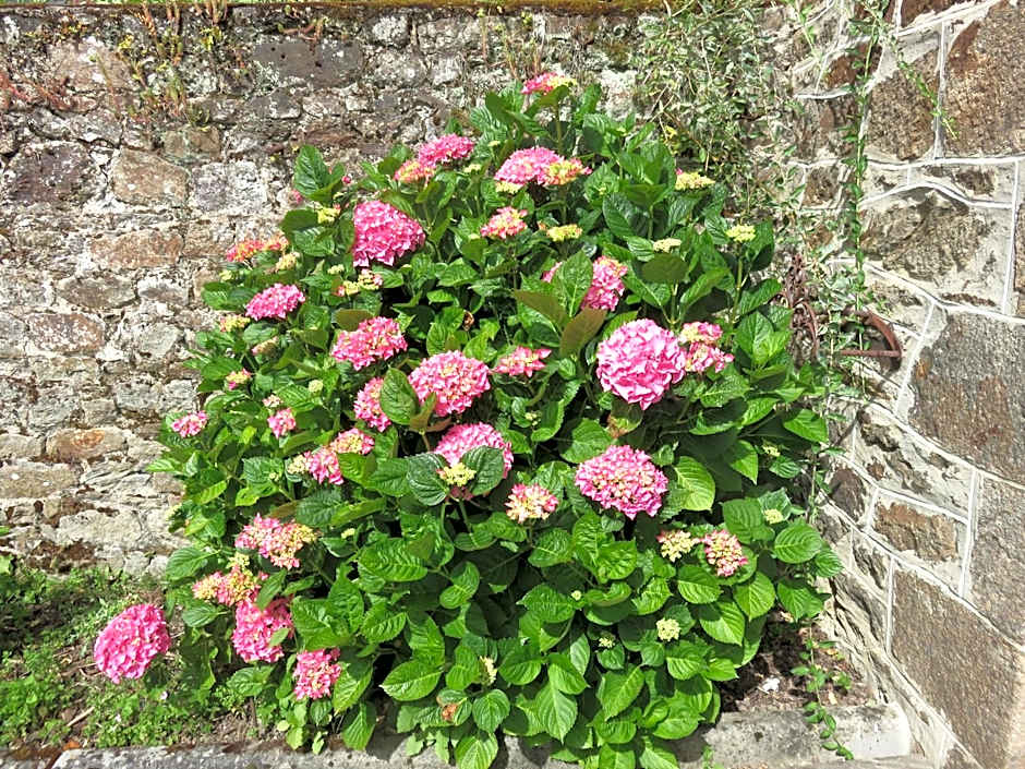 Le Jardin A Mordreuc – Pleudihen-sur-Rance, VA