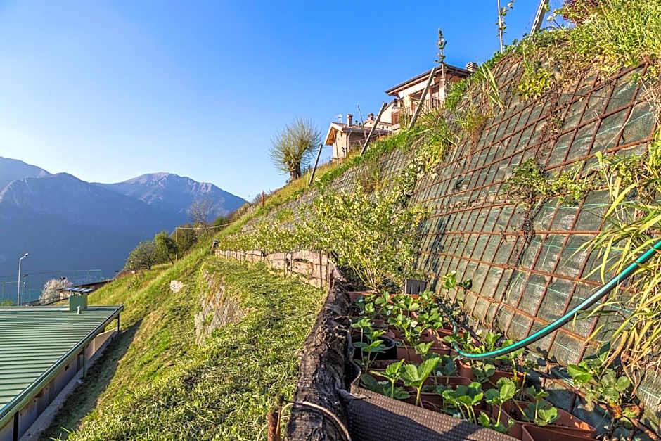 Agriturismo Alveare sul lago