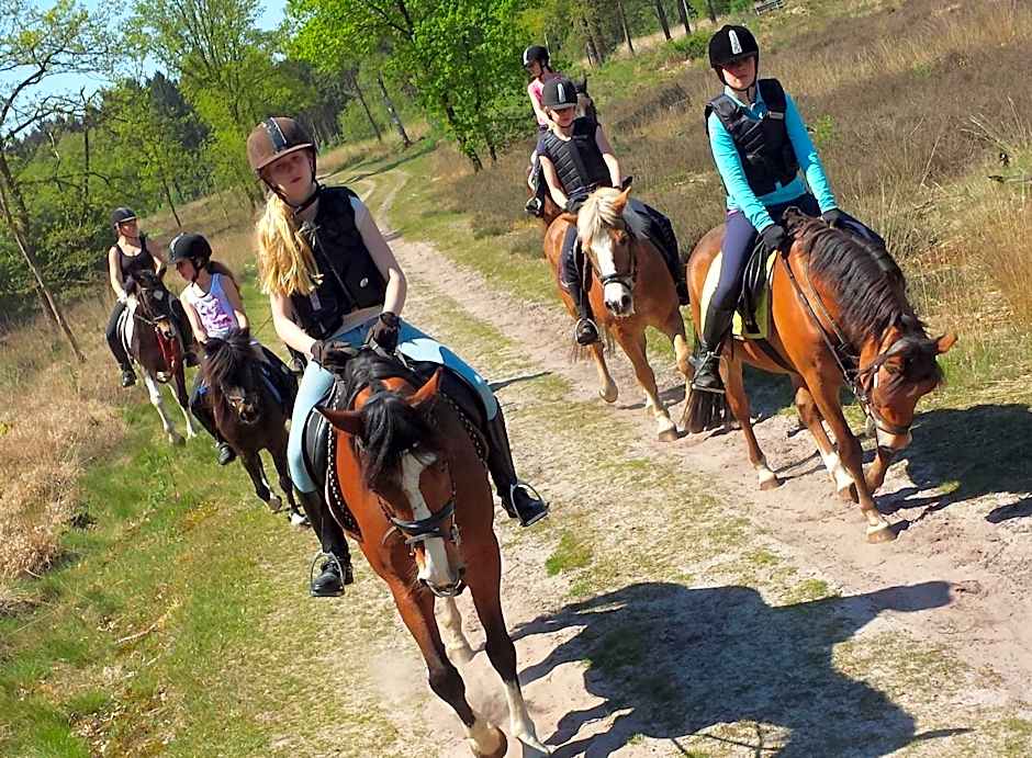Horsetellerie Rheezerveen