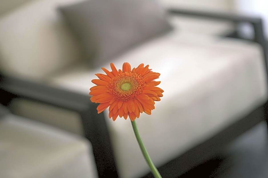 NH Dusseldorf Konigsallee