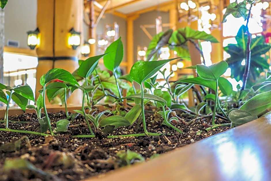 Coast Hillcrest Hotel