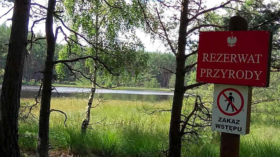 Ostoja Sosnowa Czarny Mlyn, kompleks dwóch domkow