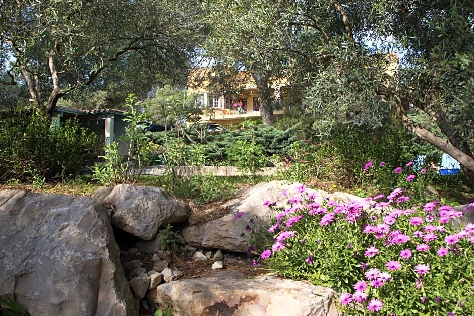 Chambre d'hôte "Avignon"