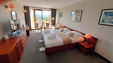 Deluxe Double or Twin Room with Balcony