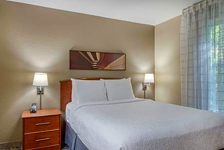 One-Bedroom Queen Suite with Sofa Bed