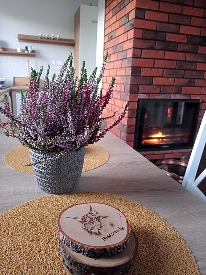 Brzozowy Zagajnik Bieszczady - Domki z Balia Ogrodowa