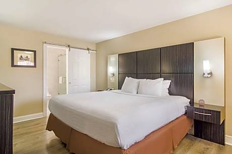 1 King Bed Non-Smoking Microwave Fridge Wi-Fi