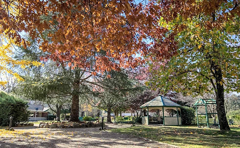 The Birch House - Silver Birches Accommodation Bright