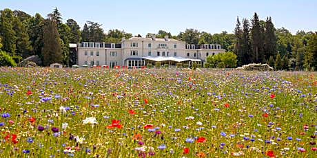 Coworth Park - Dorchester Collection