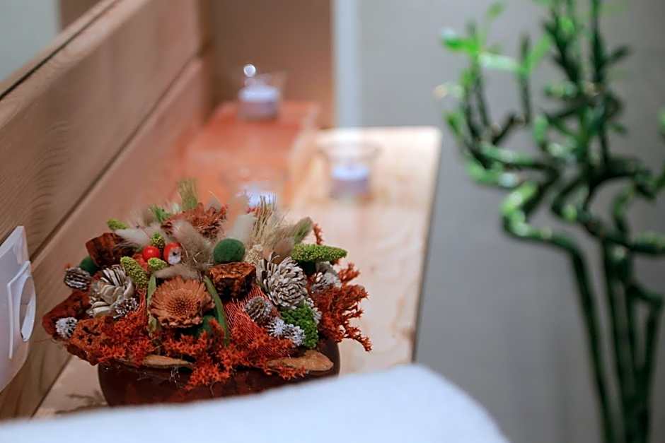 Hotel Muresul Health Spa