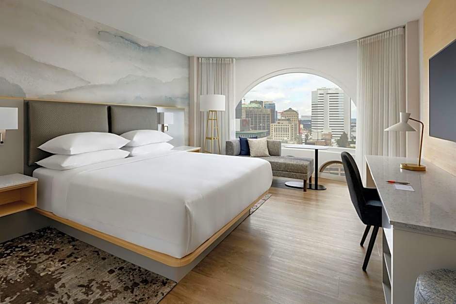 Photo 1 of 8 of Superior 1 King Bed