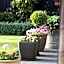 Olive House Bed and Breakfast