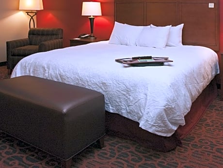 1 King Mobility Hearing Accessible Roll In Shower Non-Smoking Sofa Bed