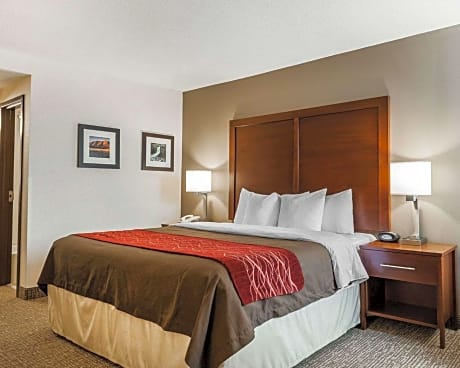 1 King Bed, Nonsmoking, Accessible