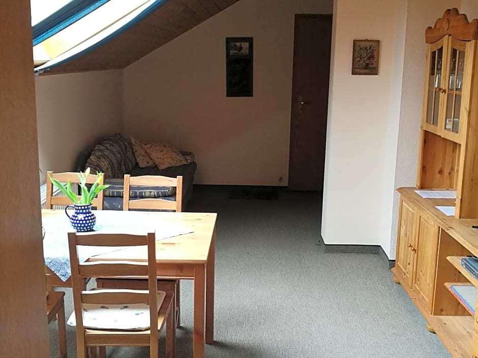 Elbhangzimmer Dresden