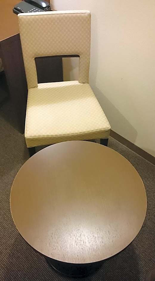 Hotel Ascent Plaza Hamamatsu