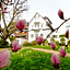 Hotel Birkenhof