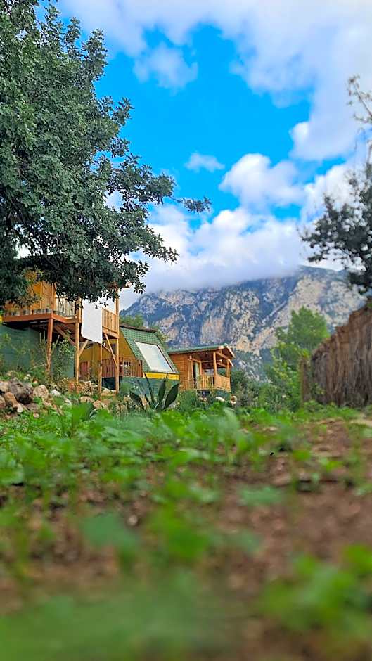 Goat Bungalow and Camping