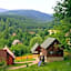 Grzywaczówka