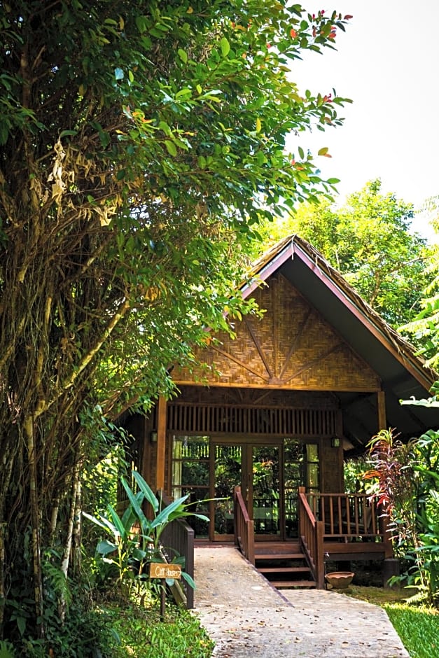 Our Jungle House