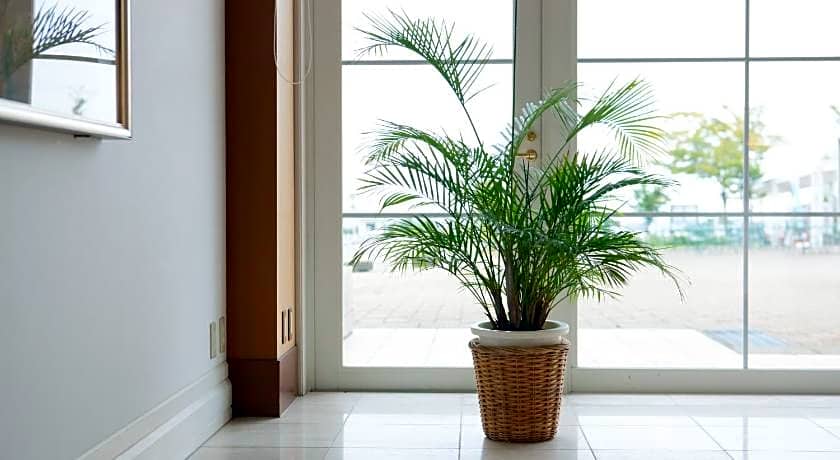 Sakuragaike Kurgarden