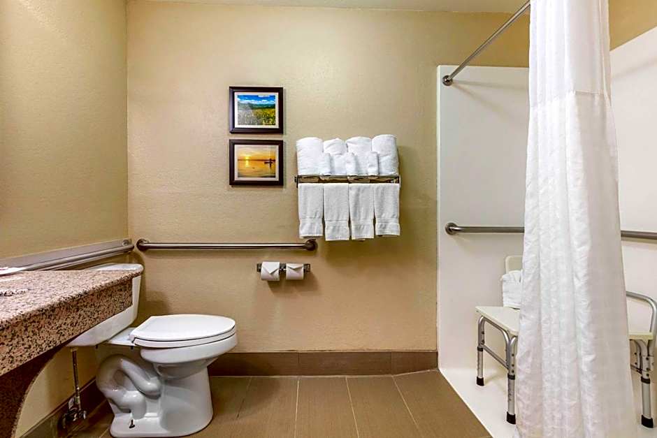 Comfort Inn Lenoir City-Knoxville
