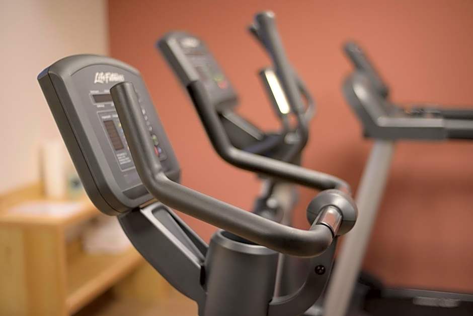 Alpenhotel Fleurs de Zermatt