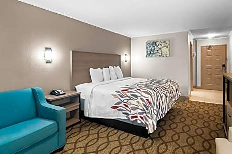 Suite King Room Non-Smoking