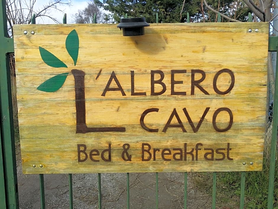 R&B Albero Cavo Parma
