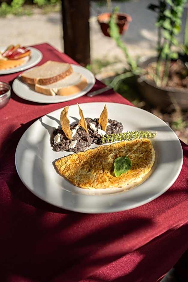 Akumal Natura Glamping