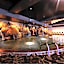 Ooedo Onsen Monogatari Premium Kinugawa Kanko Hotel