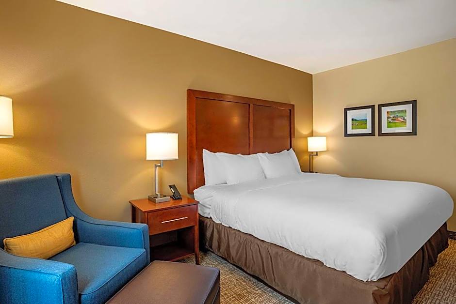 Comfort Inn & Suites Harrisonburg
