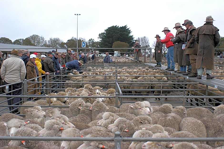 Hamilton Caravan Park