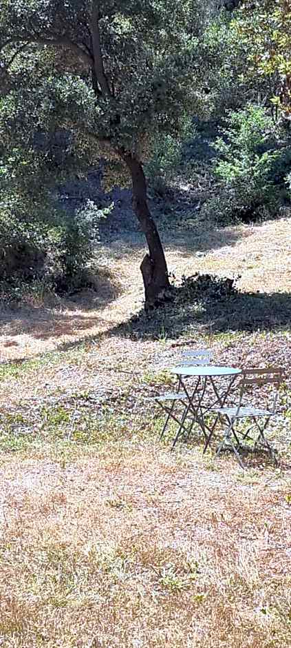 LES BOIS DE ZOLA entre Provence et Luberon