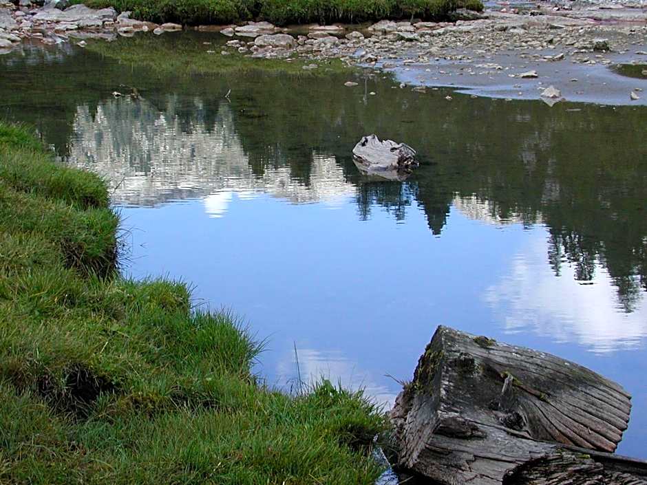 Piccolo Hotel Claudia No Pets