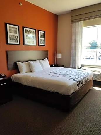 1 King Bed, Nonsmoking, Accessible