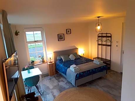 King Room with Garden View