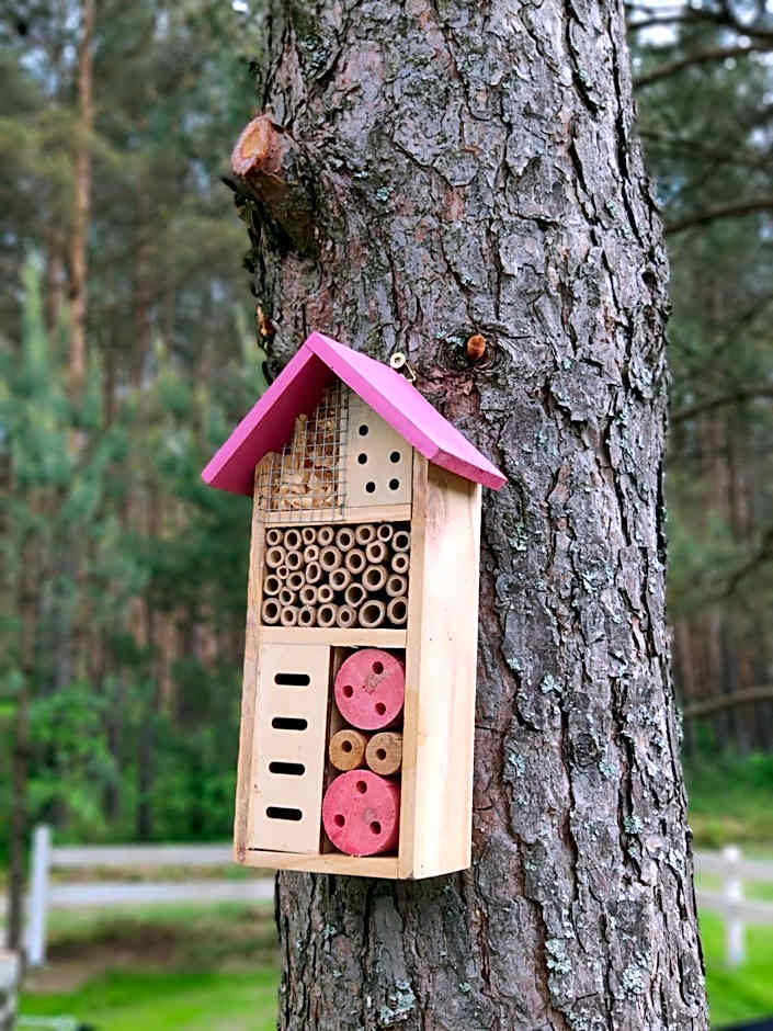 Bajkowy domek Villa Rosa na Kaszubach