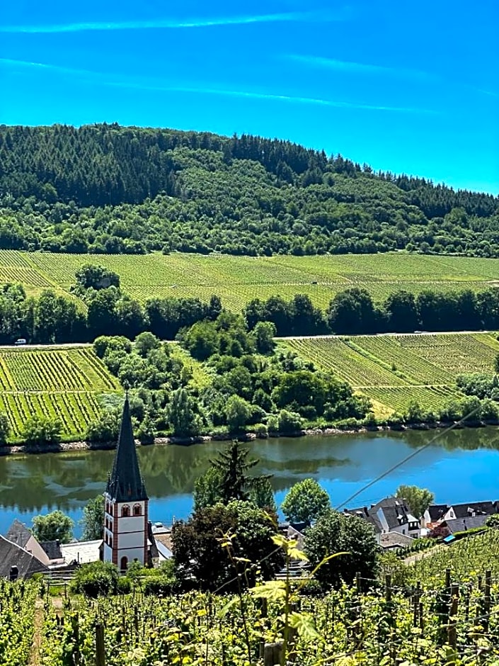 Boutique Guesthouse Das WOHLGEMUTH HEIM Mosel Weingut