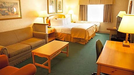 King Suite with Sofa Bed