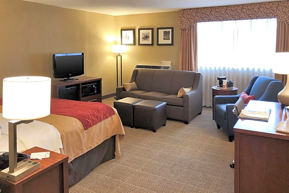 Comfort Inn Farmington Hills